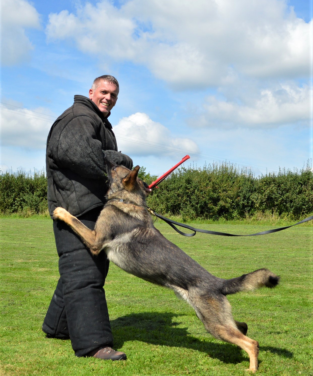 are police dogs trained in german