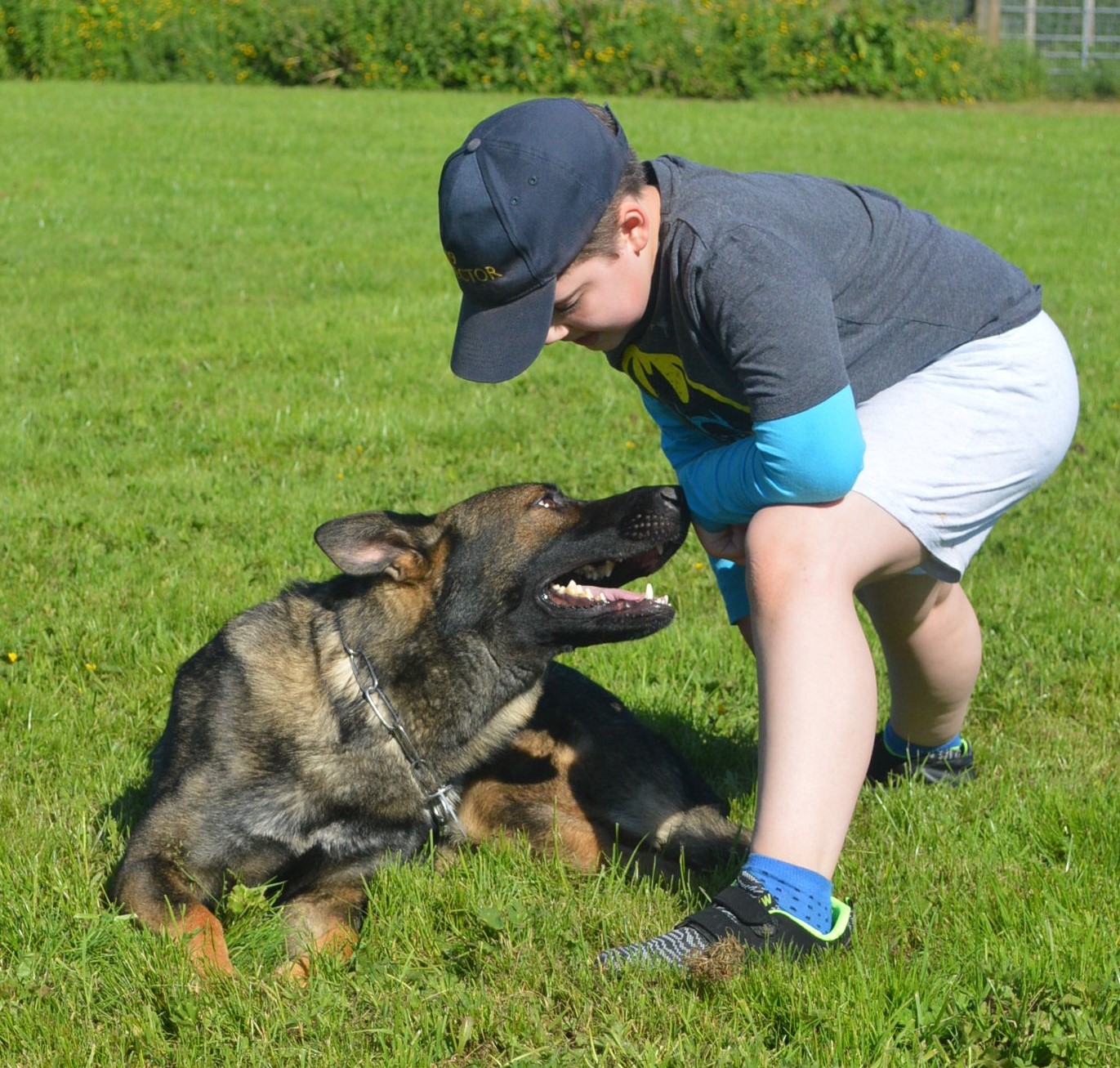 K9 Protectors