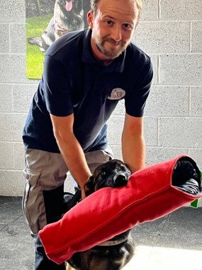 Elite Protection Dog Togo Puppy