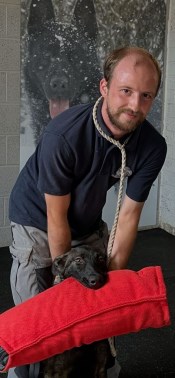 Elite Protection Dog Hera