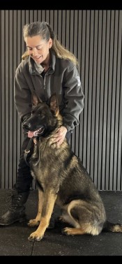 Elite Protection Dog Blade