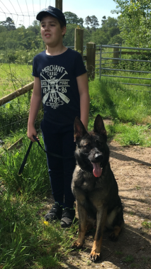 Elite protection dog Voldy with Liam