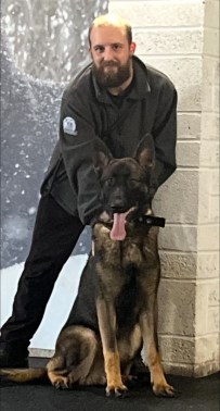 Elite Protection Dog Bear 9 months