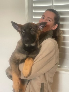 Elite Protection Dog Bear (Puppy)