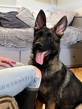 Blade at 5 months 