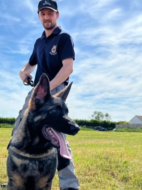 Elite Protection Dog Bear