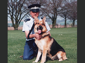 Protection dog trainer - Bob Pocock