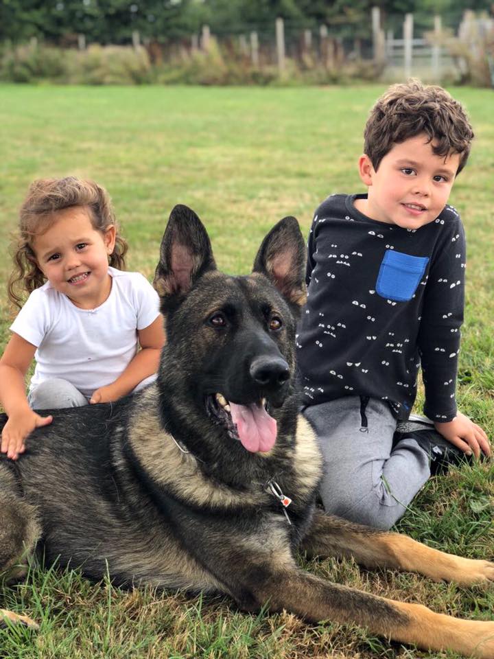 Protection dogs with children - K9 Protector keeping your families safe