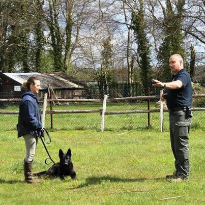 Family defence dogs. Trained protection dogs for family and home from K9 Protector