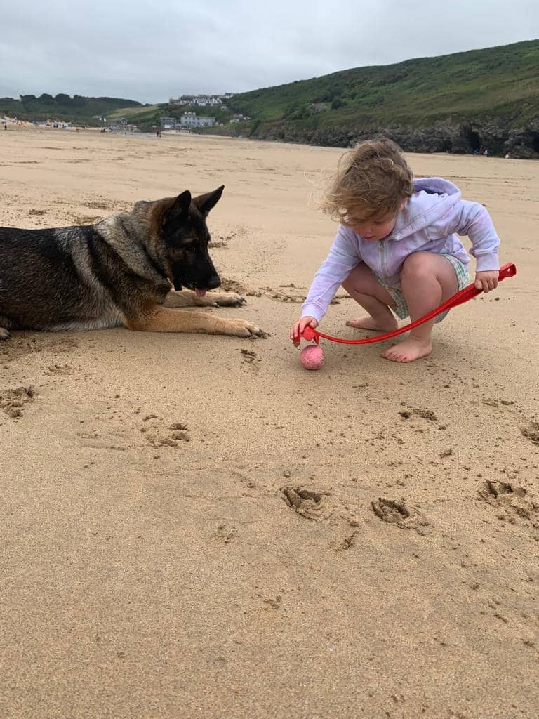 Family protection dog on holiday