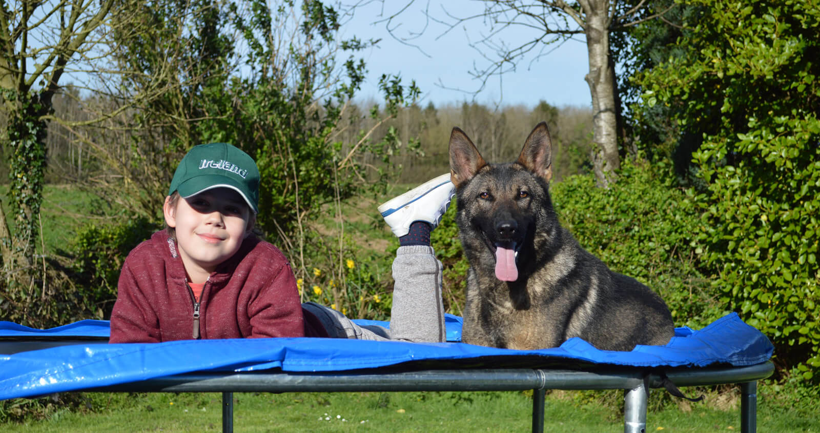 child with a protection dog